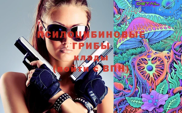 jwh Алзамай