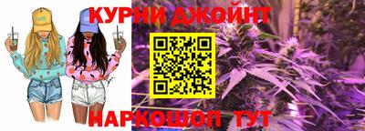 apvp Краснодар