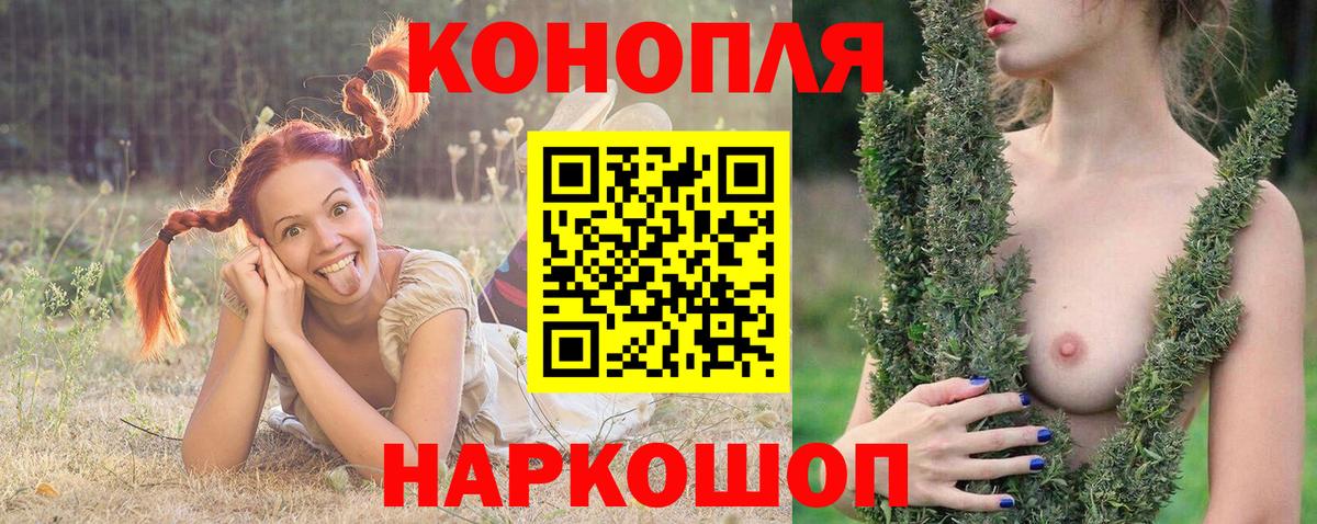 Бошки марихуана SATIVA & INDICA  МАРИХУАНА ГИДРОПОН  Конопля план  Вход с VPN  Железноводск  Бошки Шишки конопля 
